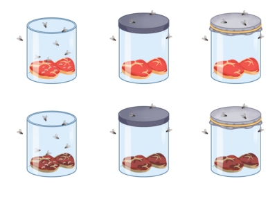 Ilustração Técnica Biologia - Somos Educação