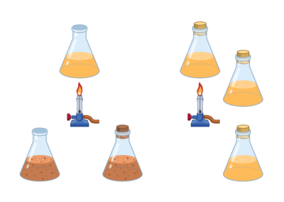 Ilustração Técnica Biologia - Somos Educação